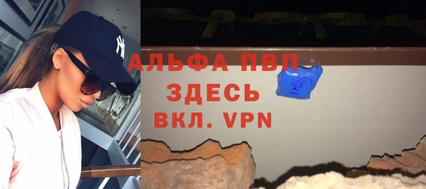 крисы Алзамай