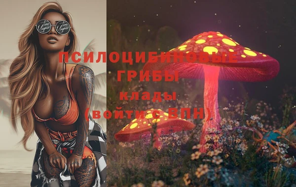 крисы Алзамай