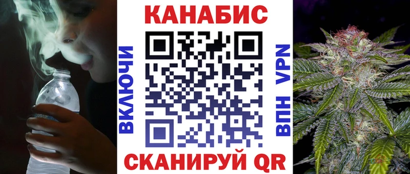Бошки Шишки план Приморск